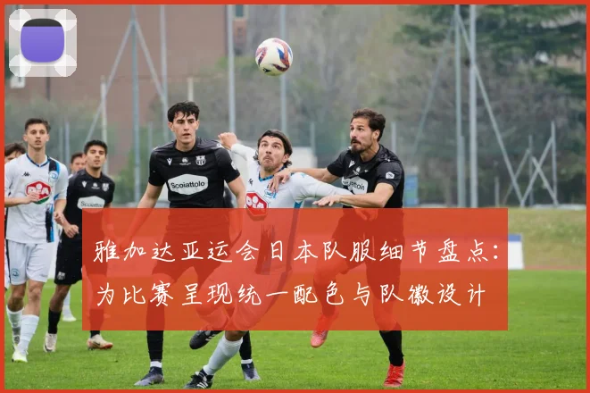 雅加达亚运会日本队服细节盘点：为比赛呈现统一配色与队徽设计